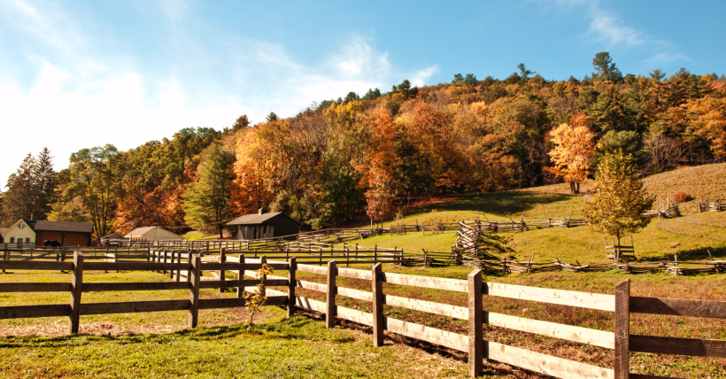 Best Realtor Near Oregon WI for Buying Hunting or Recreation Land Copy